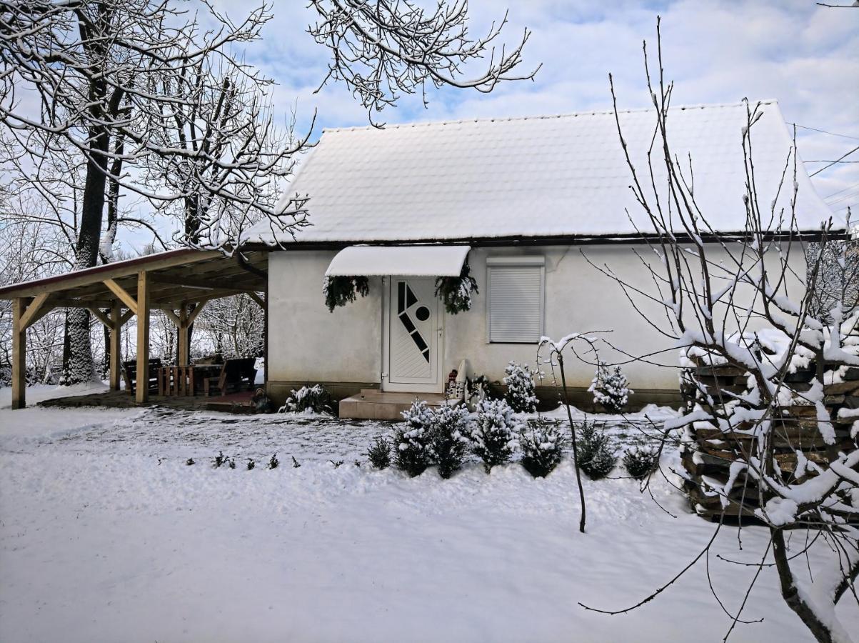Hotel Окремий Будинок-Апартаменти Rakoshyno Luaran gambar