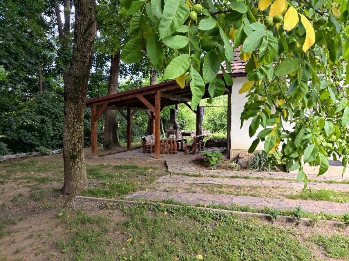 Hotel Окремий Будинок-Апартаменти Rakoshyno Luaran gambar